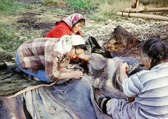 Kivalina women sewing seal skins to cover a wooden boat frame