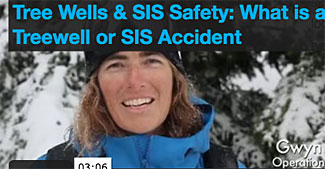 Tree well and snow safety video