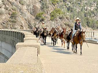 Horses and Mule Train on the Hetch Hetchy Dam