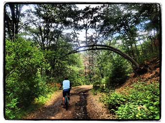 Bicycling on the Upper Klamath River