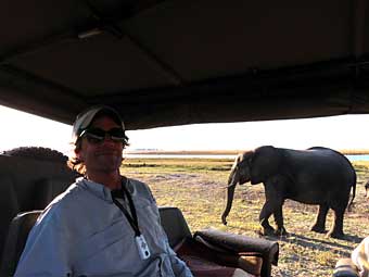Chobe National Park elephant