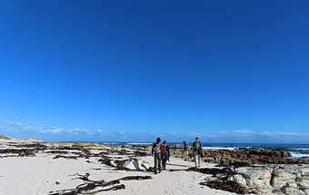Capetown beach walking