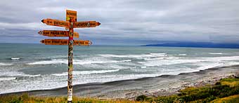 New Zealand beach signs