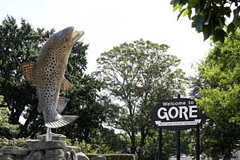 Gore, New Zealand, brown trout capital