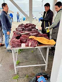 Qaqortoq fish market, Greenland