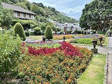 Wellington bontannical garden