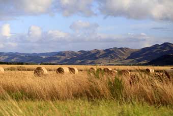 New Zealand country roads