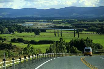 New Zealand country roads                      