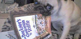 pug reading dog book