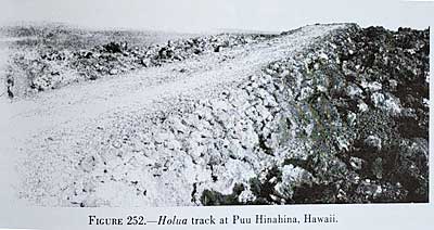 Hawaiian land sledding Holoa puu hinahina site