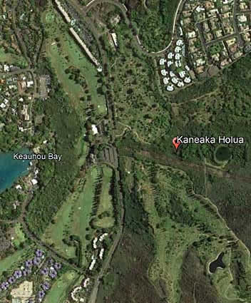 Hawaiian land sledding track