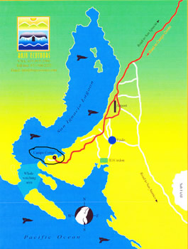 Map of San Ignacio Lagoon and Campo Cortez location