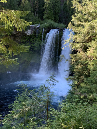 Koosah Falls on Oregon's Mckenzie River