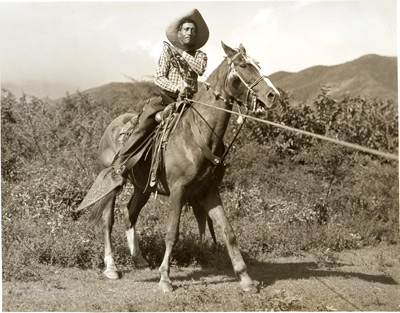 David Kuloloia wrangling cattle on Oahu circa 1930s