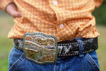 Rodeo glory belt buckle