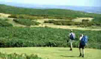 hiking in the Wales moors