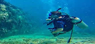 Barbados diver