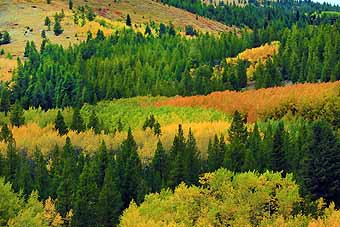 Anaconda Montana Autumn