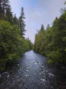 Bike Oregon, McKenzie River Trail
