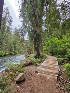 Bike Oregon, McKenzie River Trail