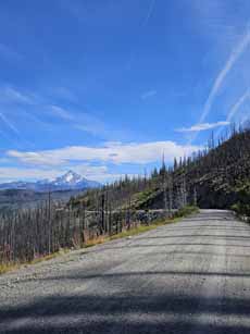Bike Oregon, Mt. Jefferson Road view