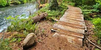 McKenzie River Trail