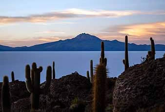 Bolivia, Dusk with Mountain and Cacti on Salt Flats