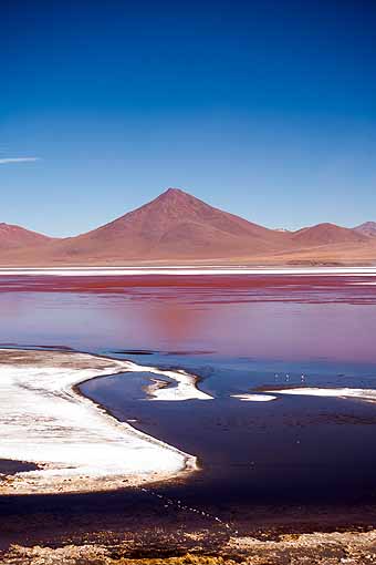 Bolivia, Laguna Colorada with volcano