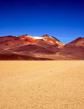 Salvador Dali Desert