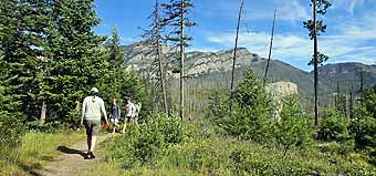 Montyana Bob Marshall Wilderness