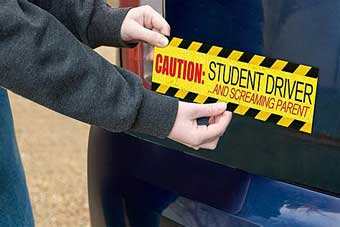 Student driver sign on car