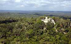 El Mirador, La Danta