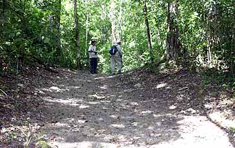 El Mirador sacbe to Danta complex