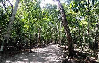 El Mirador upgrated trails